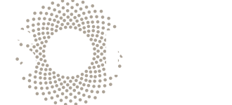 Logo-sonicstone-alb